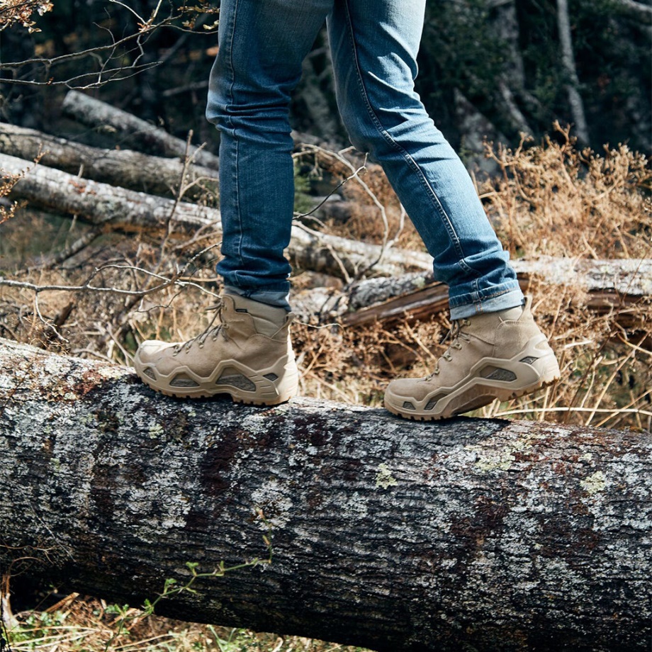 Deserto Inferior Z-6s Gtx